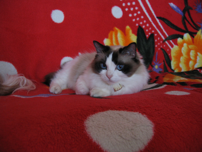 18042009-016.jpg