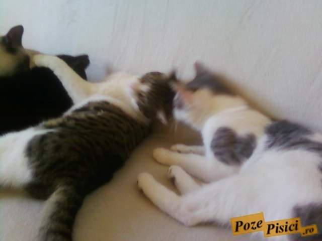 fotografii-0110