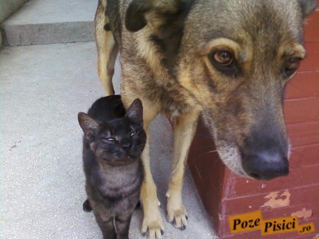 fotografii-0236