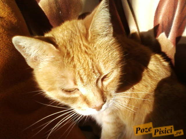 fotografii-0616