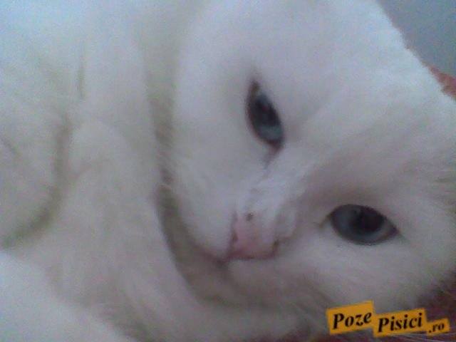 imag014