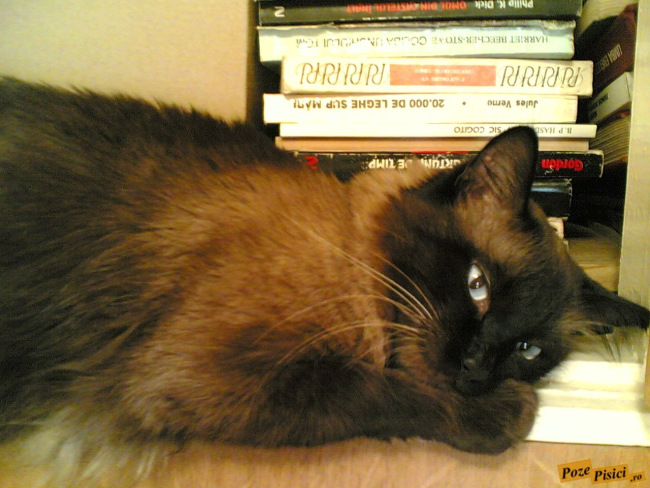 mitzi4