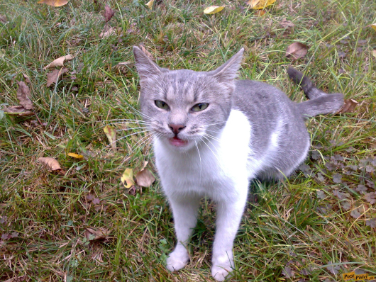 07112008392.jpg