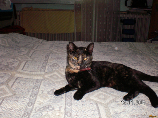 Picture 206.jpg